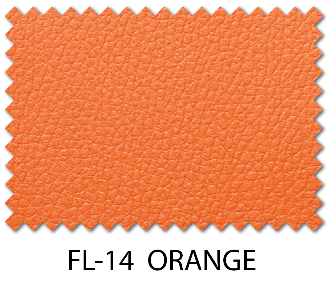 FL series-14.jpg